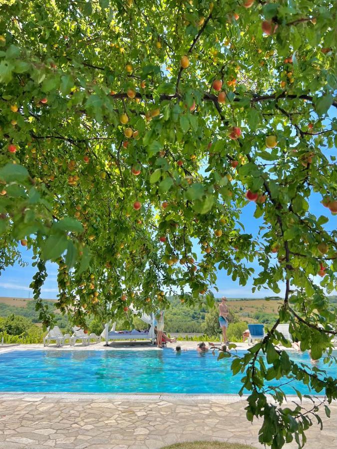 Hilltop Borbirtok & Etterem Hotel Neszmély Exterior foto